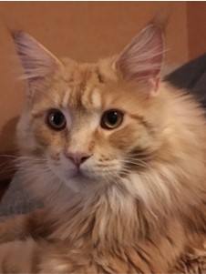 Jonny im Alter von 2 Jahren