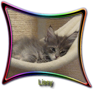 Lissy