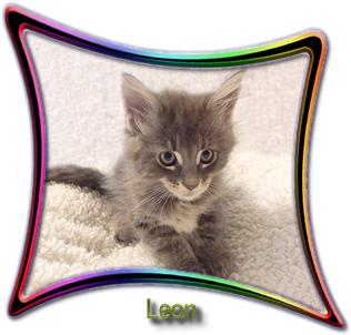 Leon