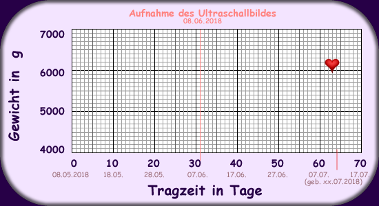 Gewichtszunahme Ella