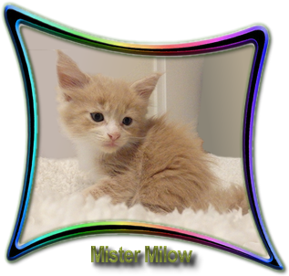 Mister Milow