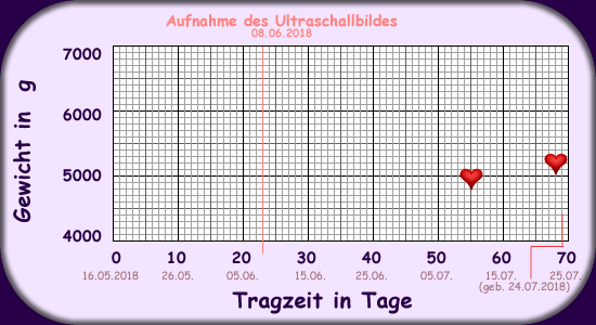 Gewichtszunahme Maggie