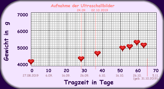 Gewichtszunahme Lady Lilly