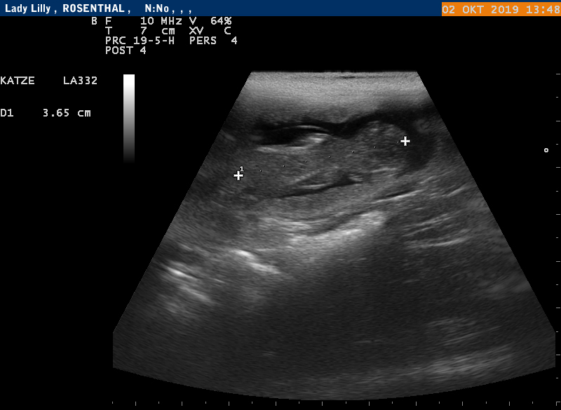 Tr&auml;chtigkeitsultraschall