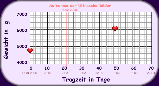 Gewichtszunahme Lady Lilly