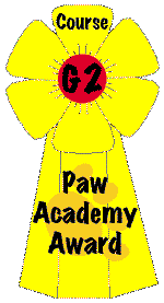 PawPeds G2-Kurs, Maine Coon Zucht, Teltow, Berlin